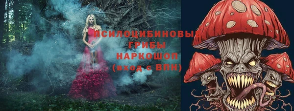 дурь Мегион