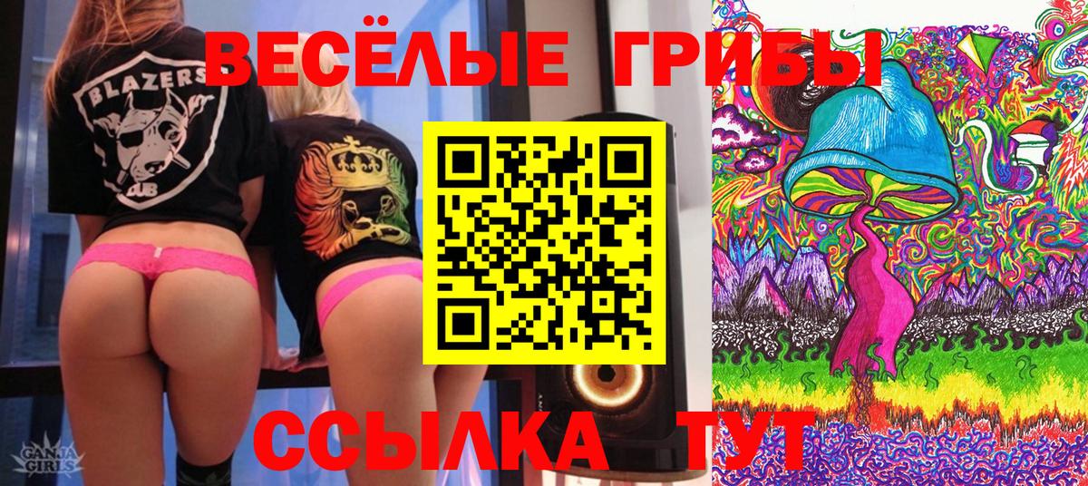 наркота  Вход с VPN  Таганрог  Псилоцибиновые грибы Psilocybe 